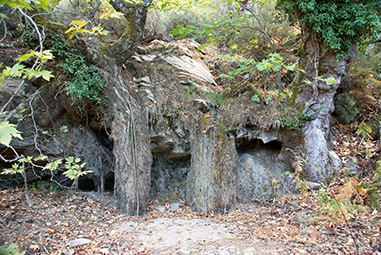 Пещера эльфов