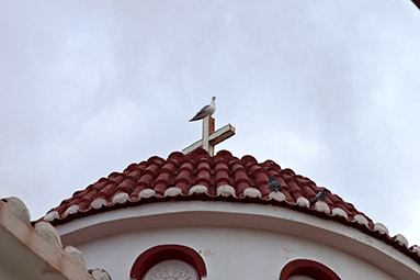 Камарьотиса, церковь Панагия Камарьотиса