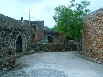 Among the ruins