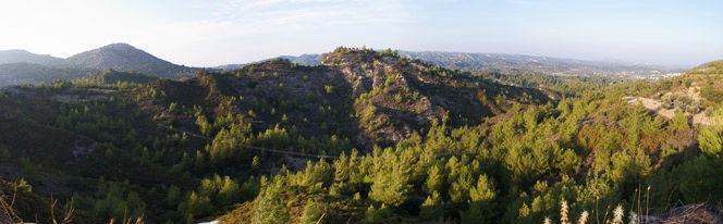 A forest near Eleousa
