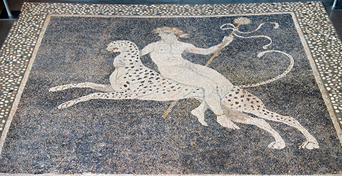 Археологический музей Пеллы, мозаика «Дионис»