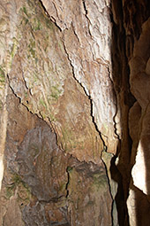 Эдесса, пещера у водопада