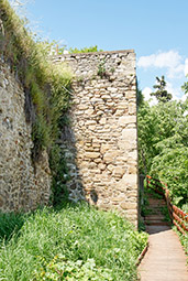 Трикала, крепость